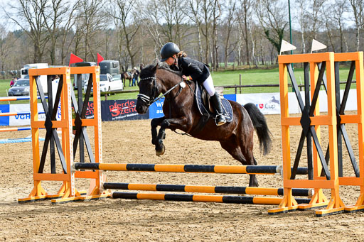 Reitsportzentrum Bremervörde 10.4.21 | 10421 Springreiter WB_142 