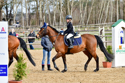 Reitsportzentrum Bremervörde 10.4.21 | 10421 Springreiter WB_160 