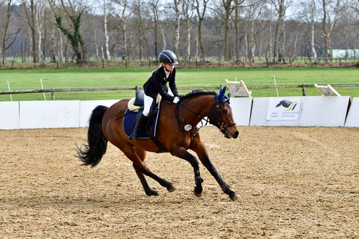 Reitsportzentrum Bremervörde 10.4.21 | 10421 Springreiter WB_164 