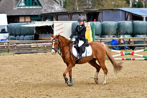 Reitsportzentrum Bremervörde 10.4.21 | 10421 Springreiter WB_215 