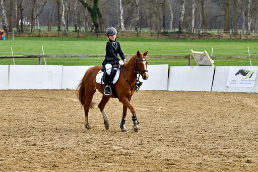 Reitsportzentrum Bremervörde 10.4.21 | 10421 Springreiter WB_219 