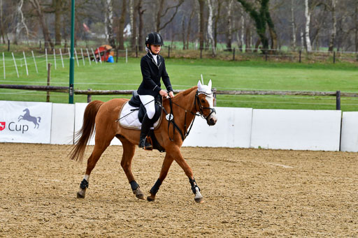 Reitsportzentrum Bremervörde 10.4.21 | 10421 Springreiter WB_222 