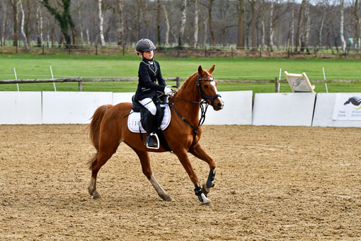 Reitsportzentrum Bremervörde 10.4.21 | 10421 Springreiter WB_225 