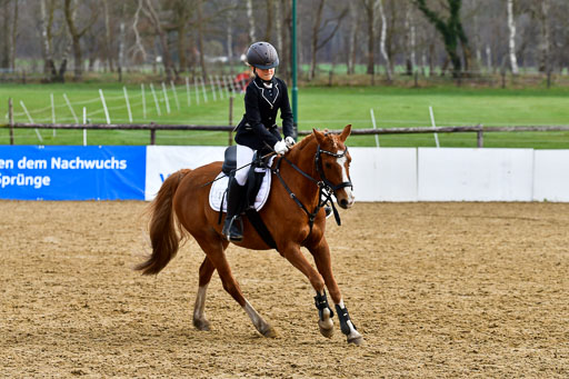 Reitsportzentrum Bremervörde 10.4.21 | 10421 Springreiter WB_229 
