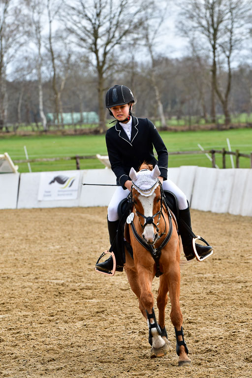 Reitsportzentrum Bremervörde 10.4.21 | 10421 Springreiter WB_233 