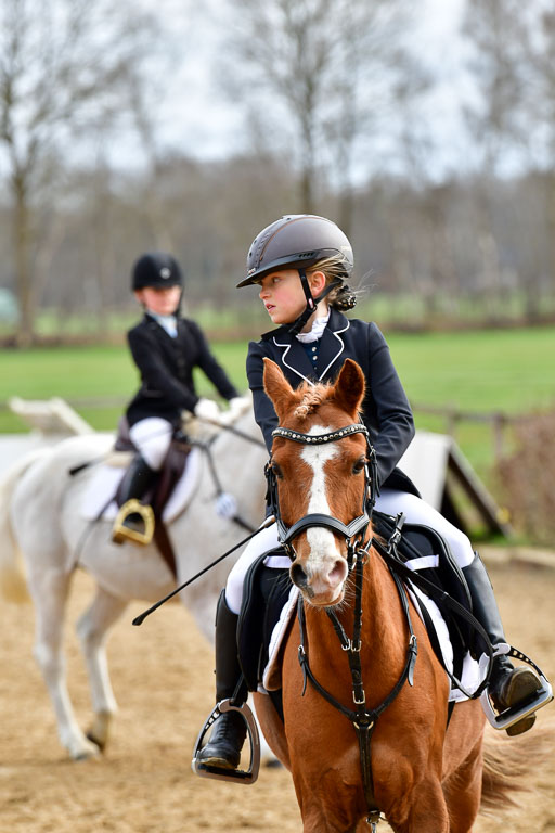 Reitsportzentrum Bremervörde 10.4.21 | 10421 Springreiter WB_234 