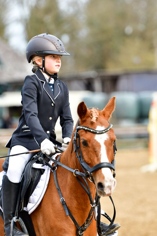 Reitsportzentrum Bremervörde 10.4.21 | 10421 Springreiter WB_242 