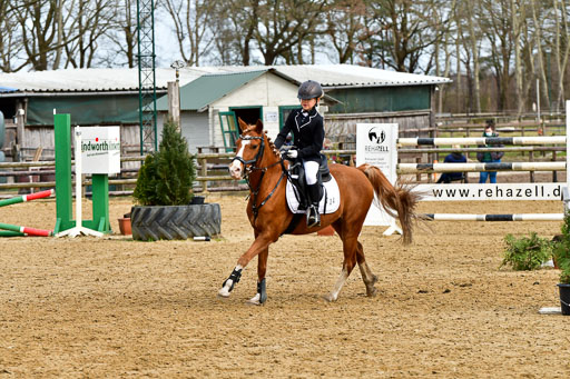 Reitsportzentrum Bremervörde 10.4.21 | 10421 Springreiter WB_246 