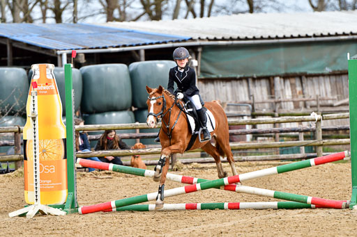 Reitsportzentrum Bremervörde 10.4.21 | 10421 Springreiter WB_253 
