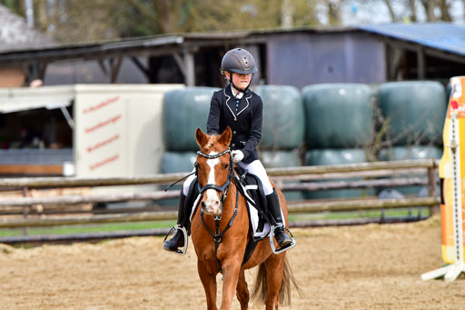 Reitsportzentrum Bremervörde 10.4.21 | 10421 Springreiter WB_254 