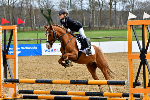 Reitsportzentrum Bremervörde 10.4.21 | 10421 Springreiter WB_256 