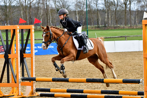 Reitsportzentrum Bremervörde 10.4.21 | 10421 Springreiter WB_257 