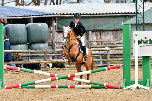 Reitsportzentrum Bremervörde 10.4.21 | 10421 Springreiter WB_265 