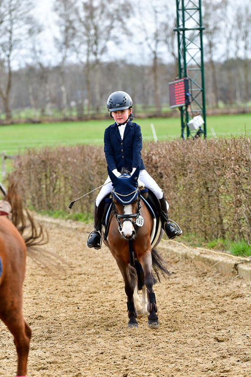 Reitsportzentrum Bremervörde 10.4.21 | 10421 Springreiter WB_290 