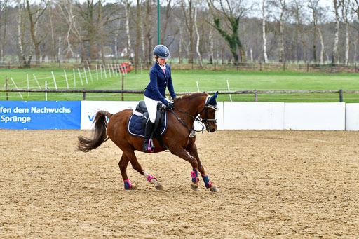 Reitsportzentrum Bremervörde 10.4.21 | 10421 Springreiter WB_308 