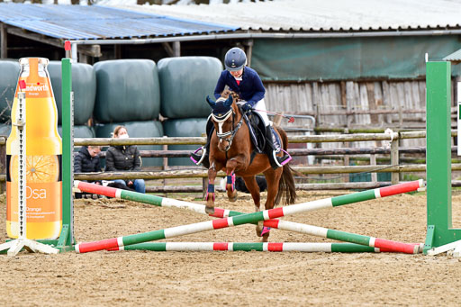 Reitsportzentrum Bremervörde 10.4.21 | 10421 Springreiter WB_312 