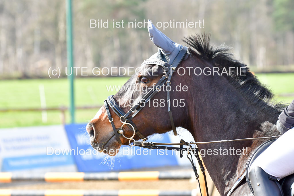 Reitsportzentrum Bremervörde 8.4.21 | 080421 STil A JR-REI_133 