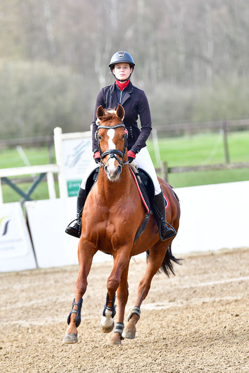 Reitsportzentrum Bremervörde 8.4.21 | 080421 STil A JR-REI_060 