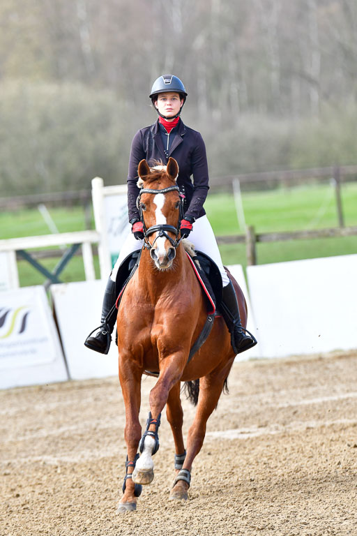 Reitsportzentrum Bremervörde 8.4.21 | 080421 STil A JR-REI_061 