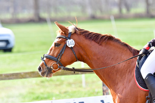 Reitsportzentrum Bremervörde 8.4.21 | 080421 STil A JR-REI_066 