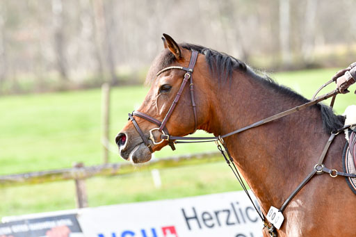 Reitsportzentrum Bremervörde 8.4.21 | 080421 STil A JR-REI_080 