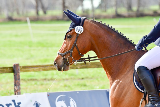 Reitsportzentrum Bremervörde 8.4.21 | 080421 STil A JR-REI_089 