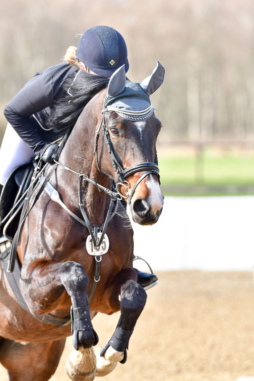 Reitsportzentrum Bremervörde 8.4.21 | 080421 STil A JR-REI_125 