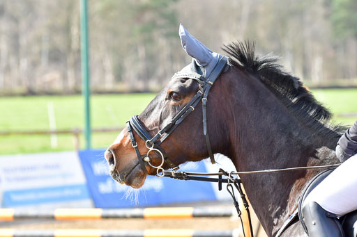 Reitsportzentrum Bremervörde 8.4.21 | 080421 STil A JR-REI_133 