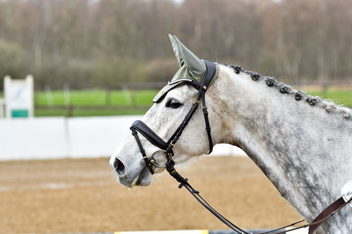 Reitsportzentrum Bremervörde 8.4.21 | 080421 STil A JR-REI_184 