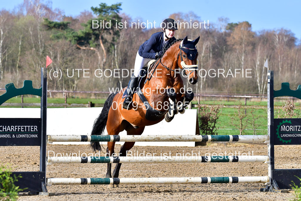Reitsportzentrum Bremervörde 8.4.21 | 080421 STil A JUN_128