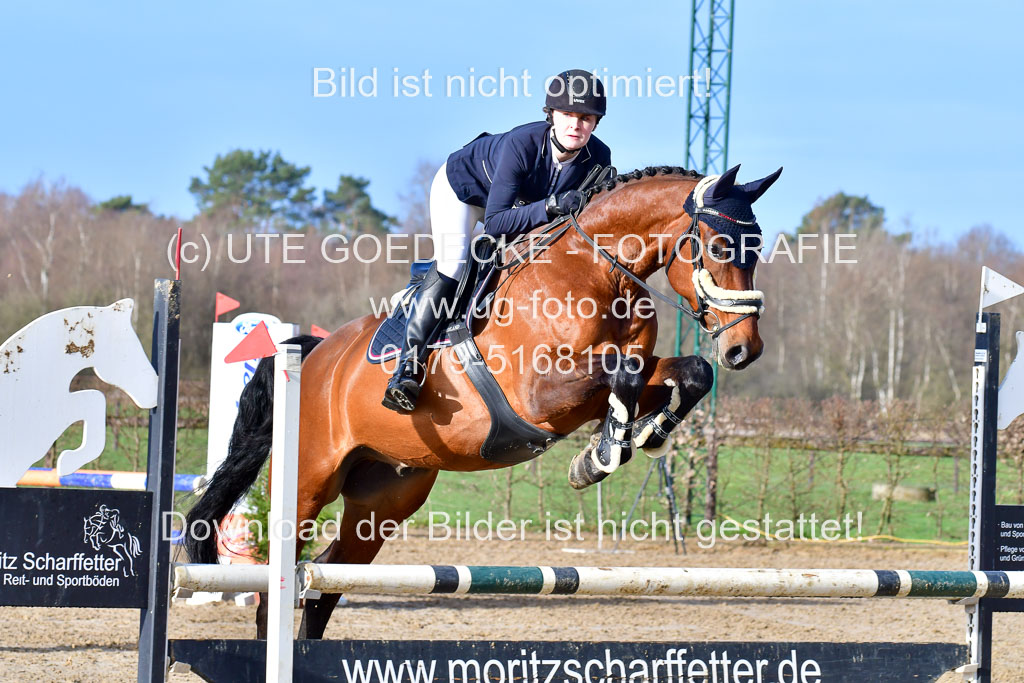 Reitsportzentrum Bremervörde 8.4.21 | 080421 STil A JUN_130 