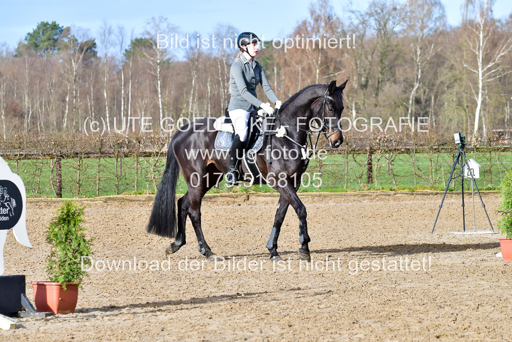 Reitsportzentrum Bremervörde 8.4.21 | 080421 STil A JUN_141 
