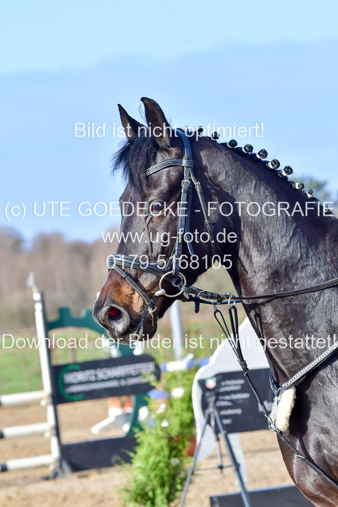 Reitsportzentrum Bremervörde 8.4.21 | 080421 STil A JUN_142