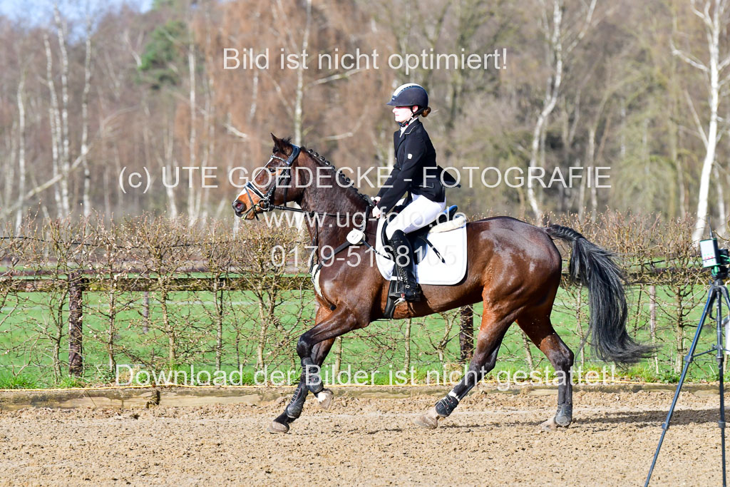 Reitsportzentrum Bremervörde 8.4.21 | 080421 STil A JUN_151