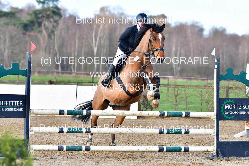 Reitsportzentrum Bremervörde 8.4.21 | 080421 STil A JUN_183