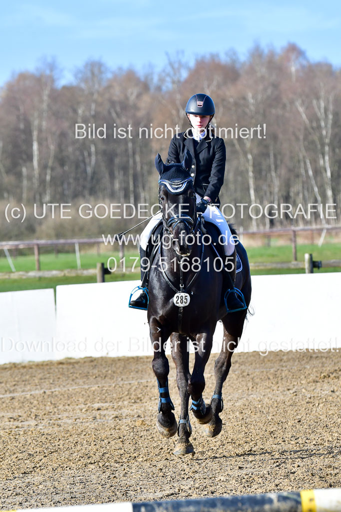 Reitsportzentrum Bremervörde 8.4.21 | 080421 STil A JUN_203 