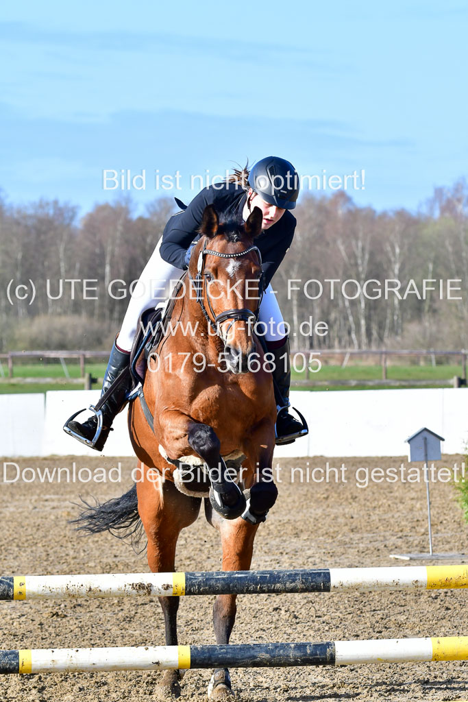 Reitsportzentrum Bremervörde 8.4.21 | 080421 STil A JUN_213