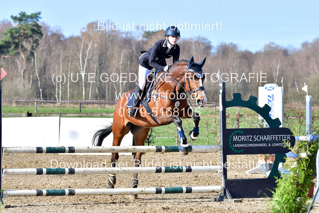 Reitsportzentrum Bremervörde 8.4.21 | 080421 STil A JUN_230 