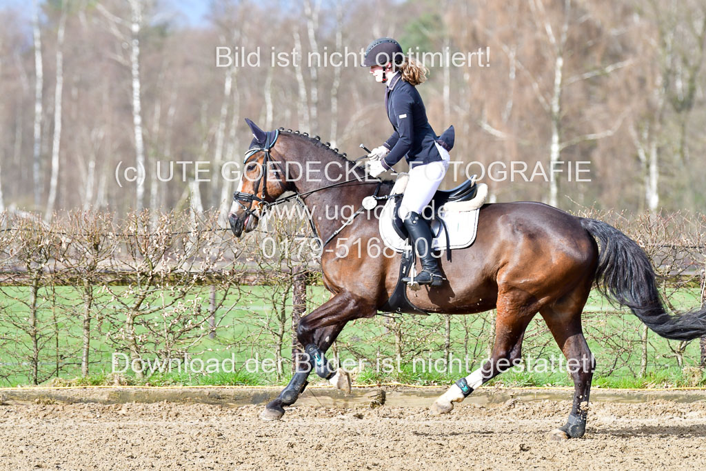 Reitsportzentrum Bremervörde 8.4.21 | 080421 STil A JUN_253