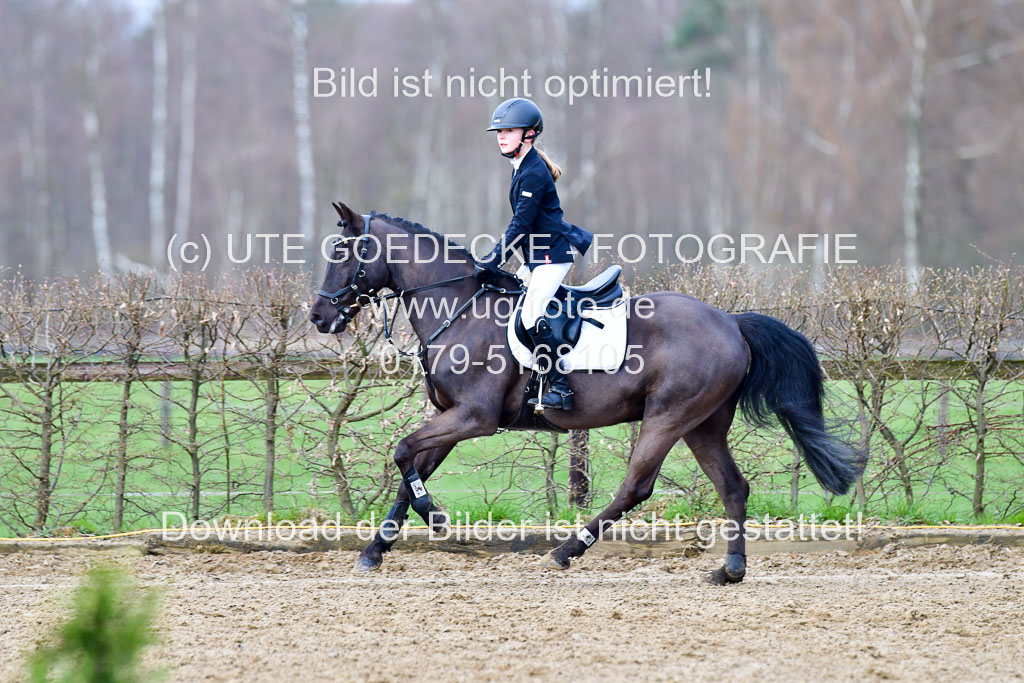 Reitsportzentrum Bremervörde 8.4.21 | 080421 STil A JUN_274
