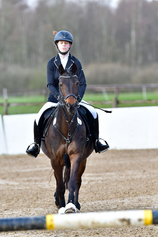 Reitsportzentrum Bremervörde 8.4.21 | 080421 STil A JUN_020 