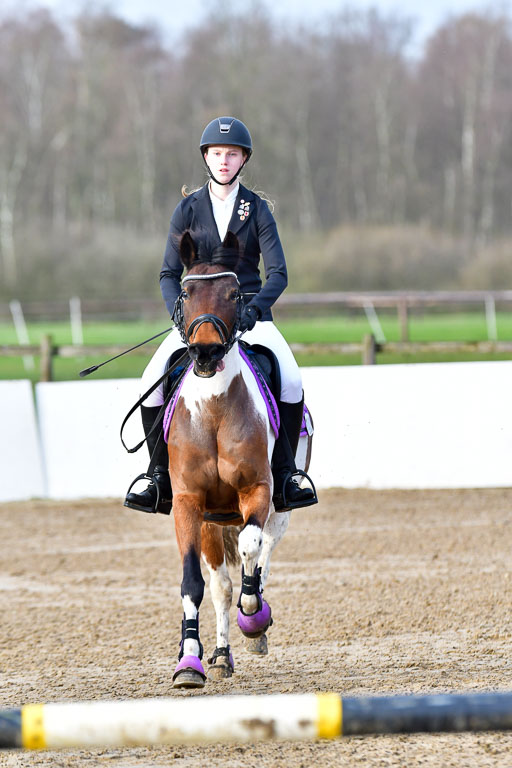 Reitsportzentrum Bremervörde 8.4.21 | 080421 STil A JUN_025 