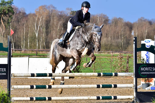 Reitsportzentrum Bremervörde 8.4.21 | 080421 STil A JUN_061 