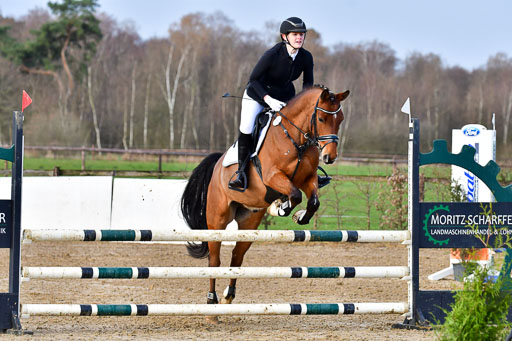 Reitsportzentrum Bremervörde 8.4.21 | 080421 STil A JUN_074 