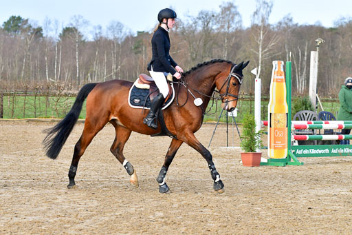 Reitsportzentrum Bremervörde 8.4.21 | 080421 STil A JUN_086 