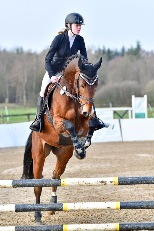 Reitsportzentrum Bremervörde 8.4.21 | 080421 STil A JUN_088 