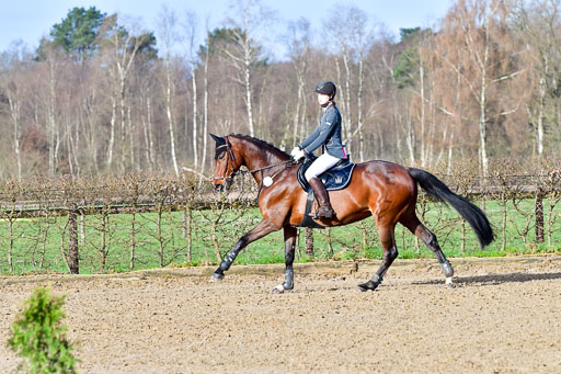 Reitsportzentrum Bremervörde 8.4.21 | 080421 STil A JUN_115 