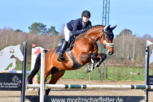 Reitsportzentrum Bremervörde 8.4.21 | 080421 STil A JUN_130 