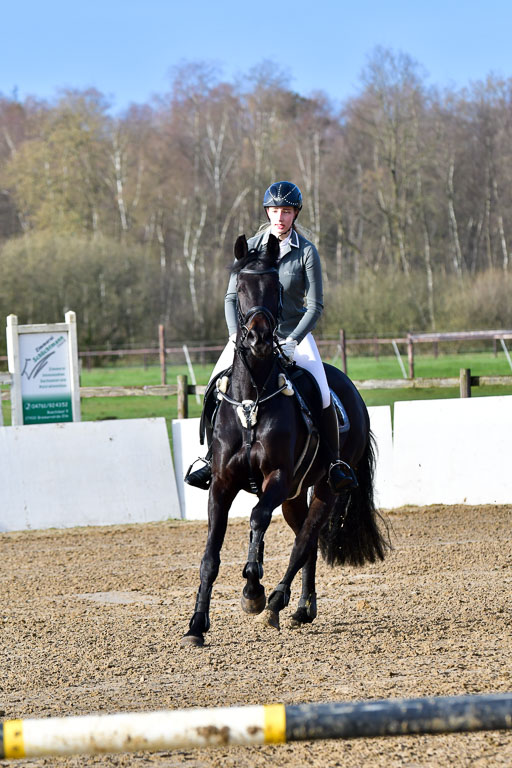 Reitsportzentrum Bremervörde 8.4.21 | 080421 STil A JUN_136 