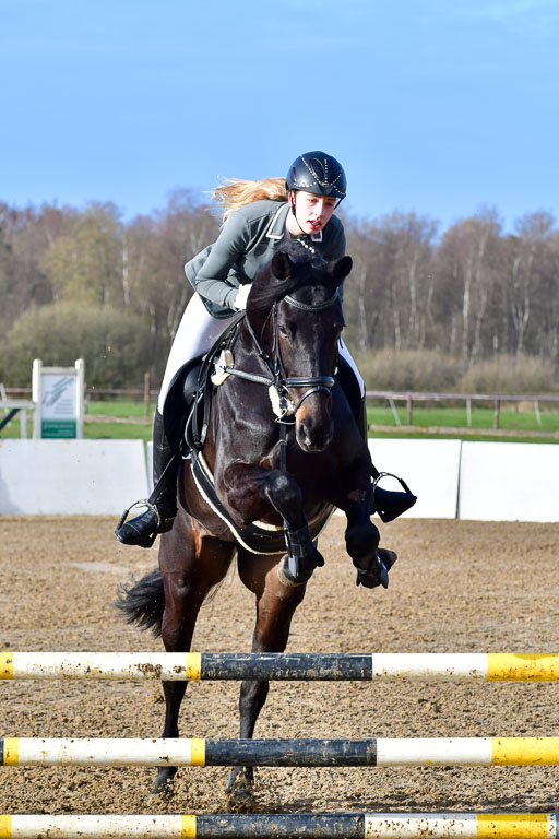 Reitsportzentrum Bremervörde 8.4.21 | 080421 STil A JUN_138 